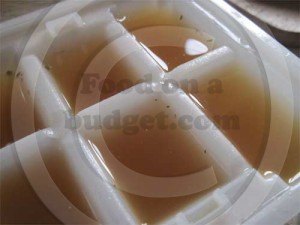 Stock in ice cube tray Stock in ice cube tray